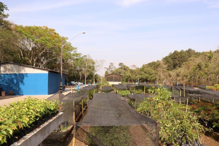 Alcoa Poços de Caldas reabilita 24 hectares de áreas mineradas em 2020