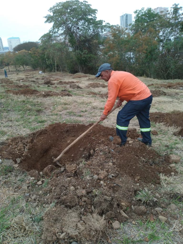 Congresso do Meio Ambiente planta mudas na semana da primavera