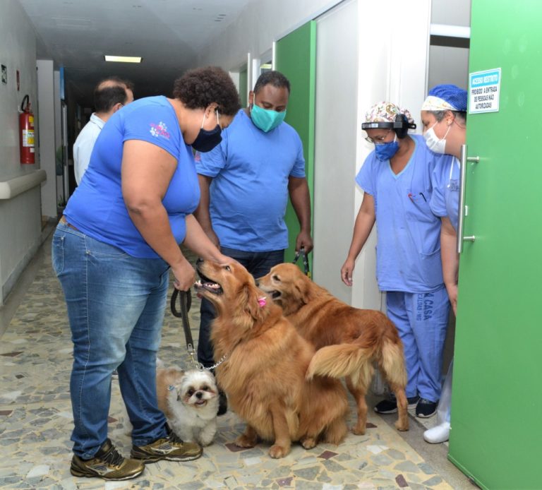 Santa Casa retoma programa de Cãoterapia no hospital
