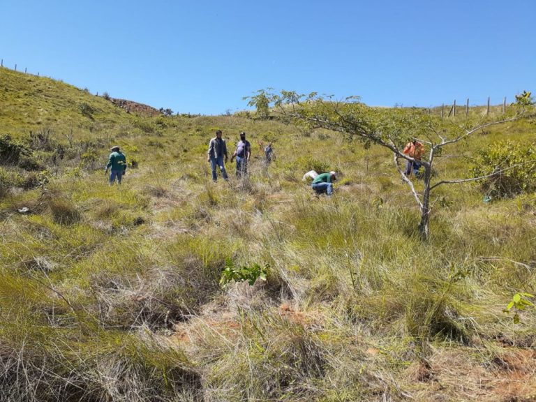 Área de nascente na zona oeste recebe plantio de 400 mudas