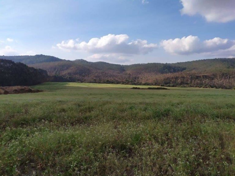 DME publica edital para construção de usina fotovoltaica