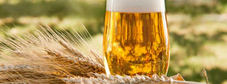 Cervejarias de micro, pequeno e médio portes terão Tratamento Tributário Setorial em Minas