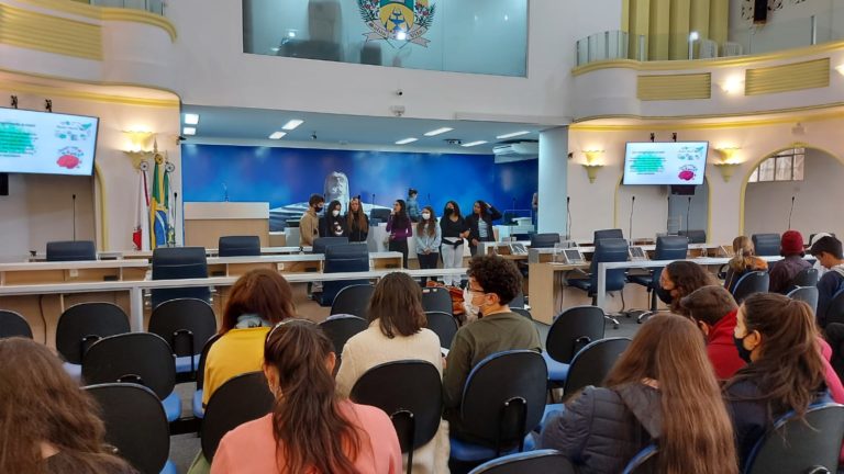 Alunos do Parlamento Jovem se preparam para a Plenária Municipal