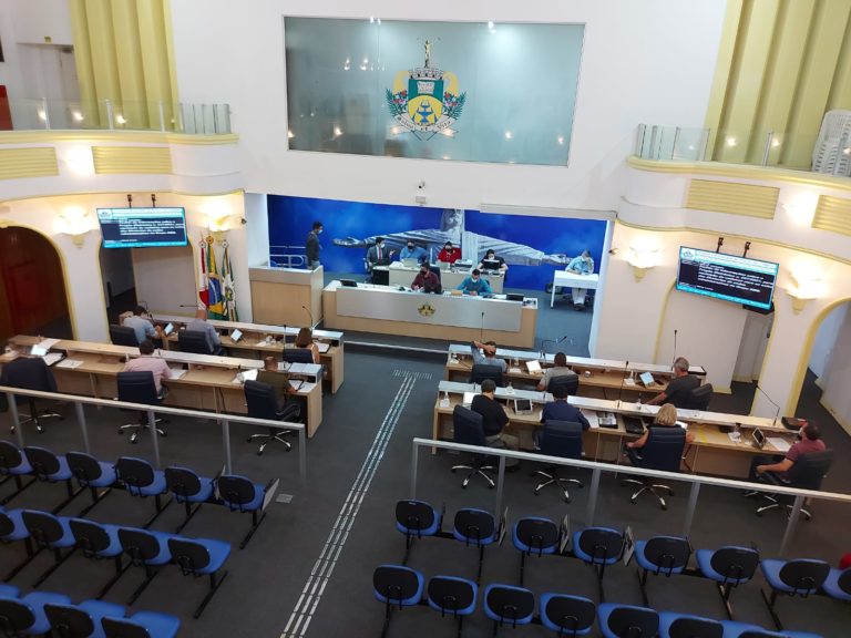 Estudantes do Parlamento Jovem discutem propostas para Plenária Municipal