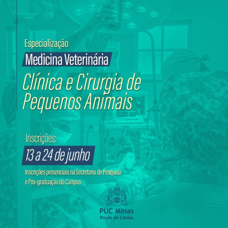 PUC Poços oferta especialização em Medicina Veterinária com bolsa remunerada