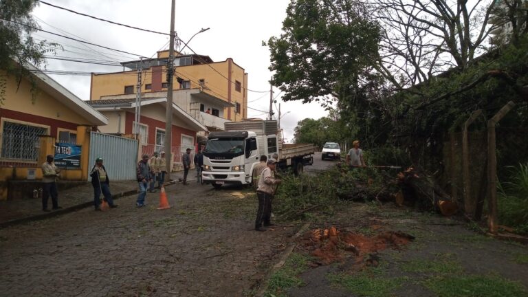 Temporal derruba árvores, destelha casas e causa apagão em Poços de Caldas