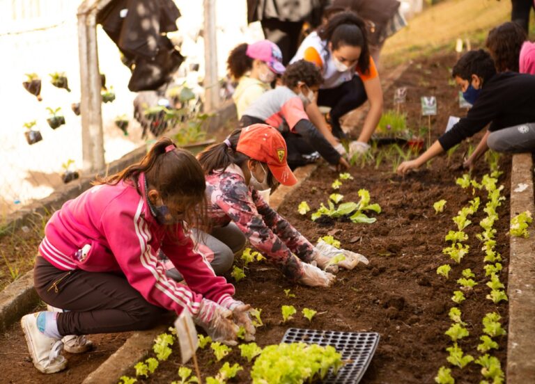 Alcoa Poços de Caldas abre inscrições para o Programa ACTION 2023
