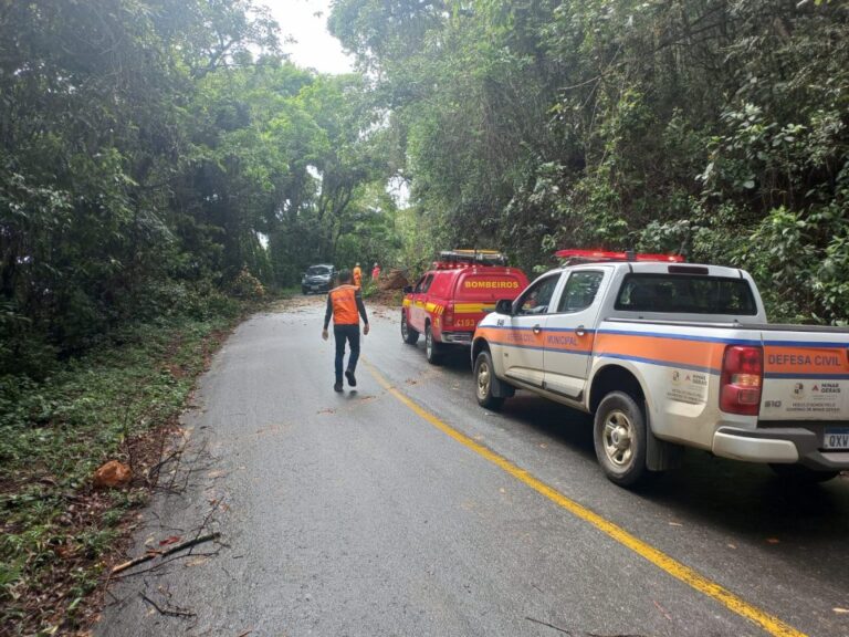 Estrada do Cristo segue em monitoramento após queda de árvores
