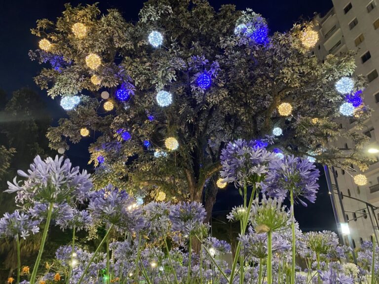 Abertura do Natal de Luz em Poços será no sábado, dia 4