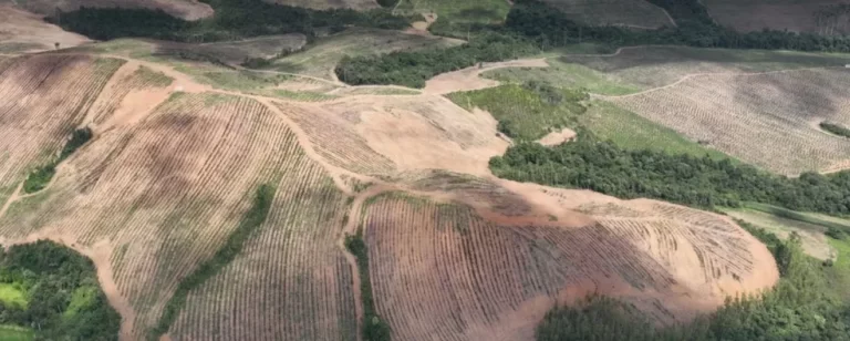 OAB Poços promove discussão sobre Terras Raras no município