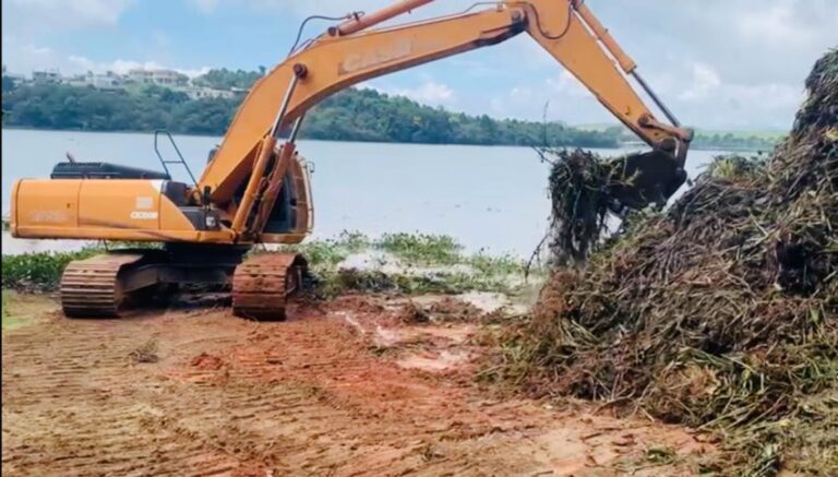 200 toneladas de aguapés já foram retiradas do Bortolan