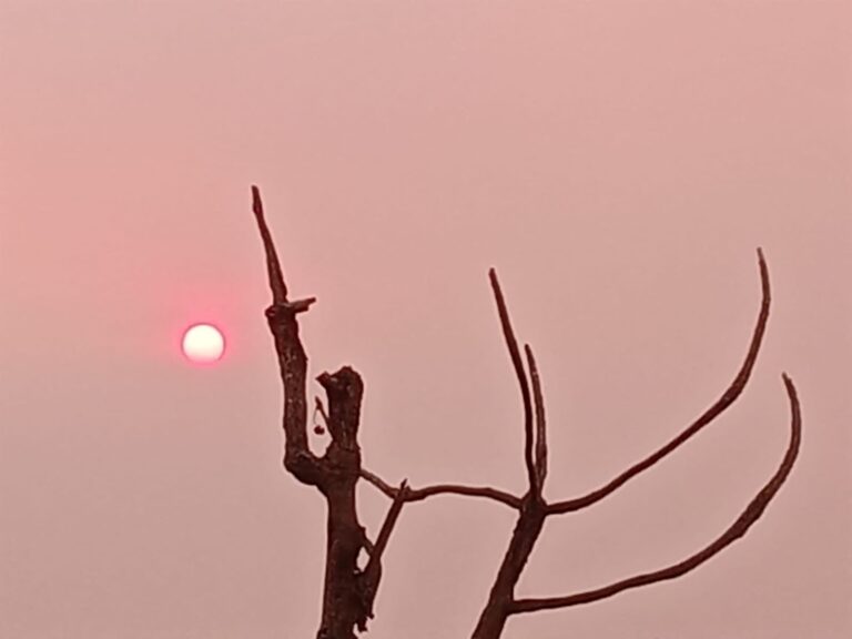 Incêndios em áreas de vegetação alteram condições do ar em Poços