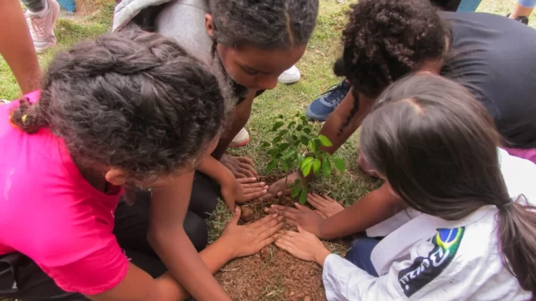 Ação sustentável do projeto “A vida é da cor que você pinta” planta 195 árvores em Poços
