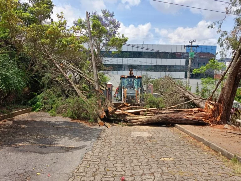 Prefeitura mobiliza equipes após estragos causados por temporal