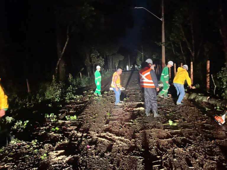 Chuva forte derruba árvores, provoca queda de energia e alagamento em Poços