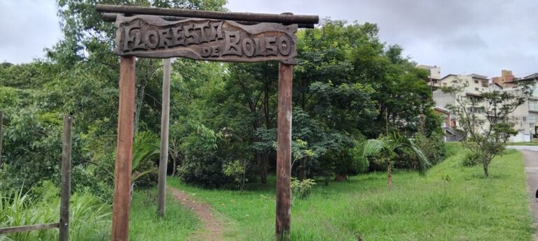 Floresta de Bolso completa sete anos com 2.200 árvores plantadas em áreas urbanas