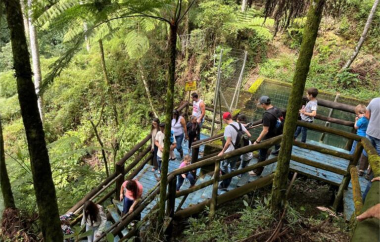 Parque Ambiental da Alcoa Poços celebra 32 anos como polo de pesquisa e educação ambiental