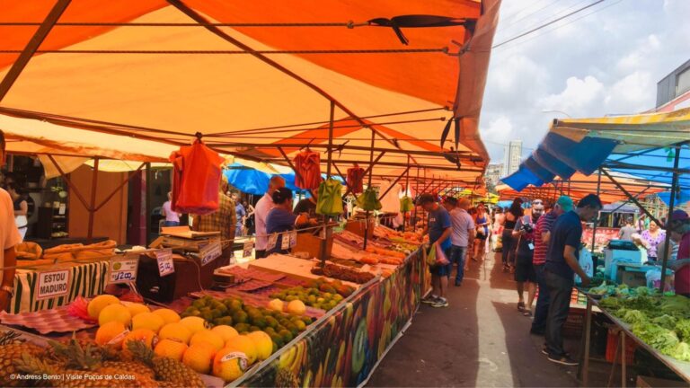 Abertas inscrições para seleção de feirantes da Feira Orgânica de Produtos Naturais e Artesanais