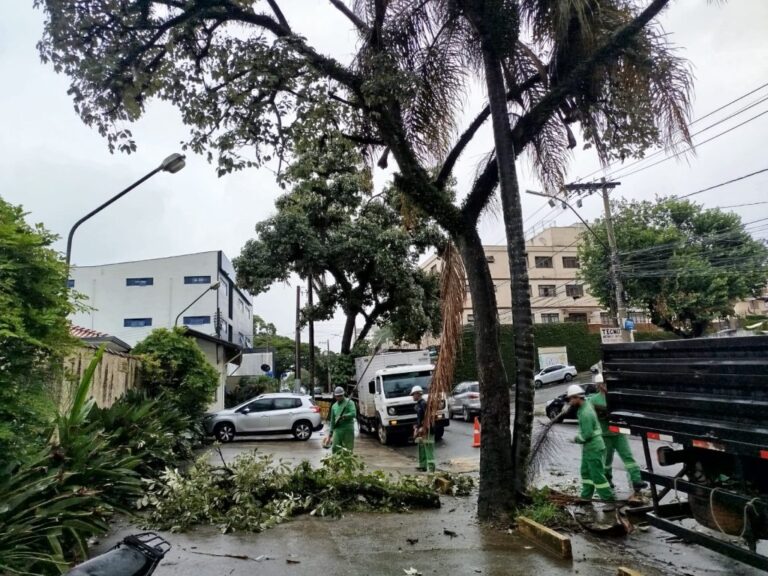 Após chuva e vento forte, começa limpeza em vários pontos da cidade