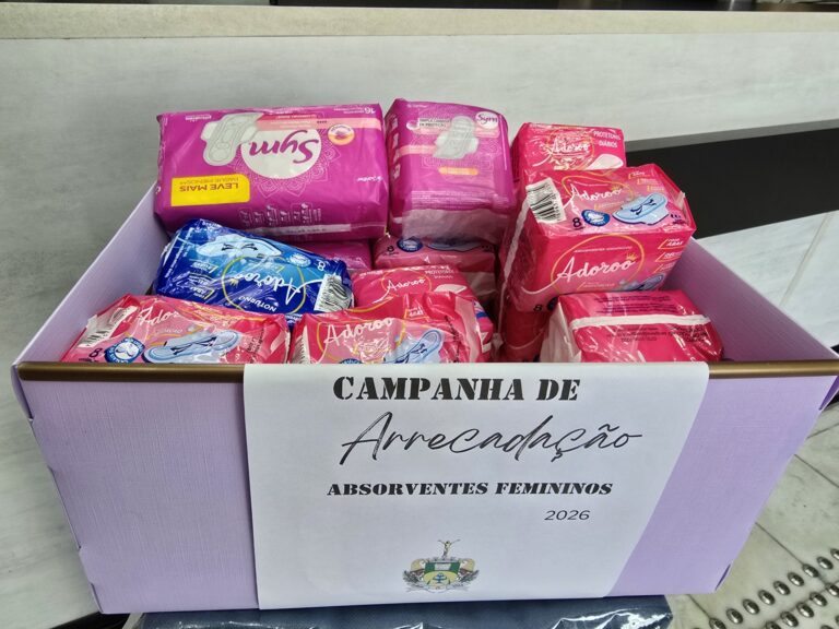 Câmara promove 3ª Campanha de Arrecadação de Absorventes