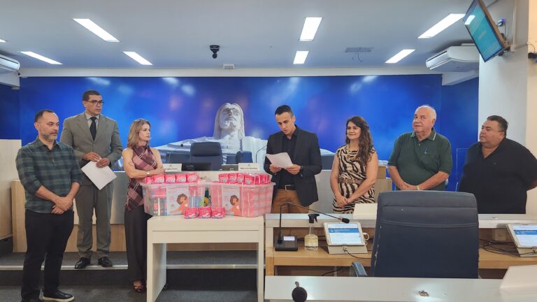 Câmara entrega absorventes arrecadados durante campanha no Mês da Mulher