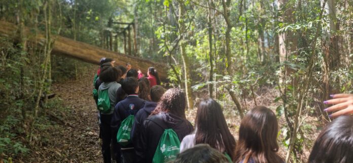alcoa 2026 parque 33 anos
