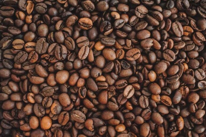 concurso café 2026